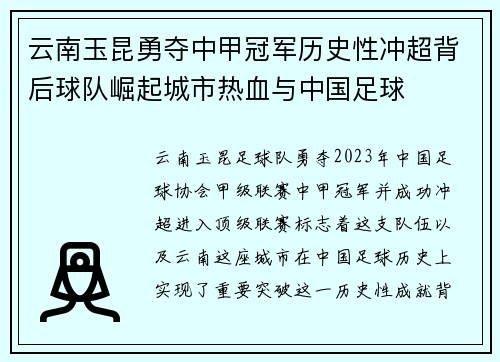 云南玉昆勇夺中甲冠军历史性冲超背后球队崛起城市热血与中国足球