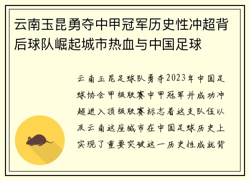 云南玉昆勇夺中甲冠军历史性冲超背后球队崛起城市热血与中国足球
